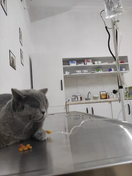 Nehir veteriner kliniği foto 2