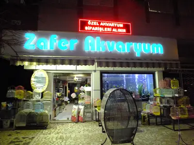 Zafer Akvaryum fotoğrafı