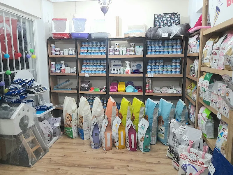 BİSKİMAMA foto 2