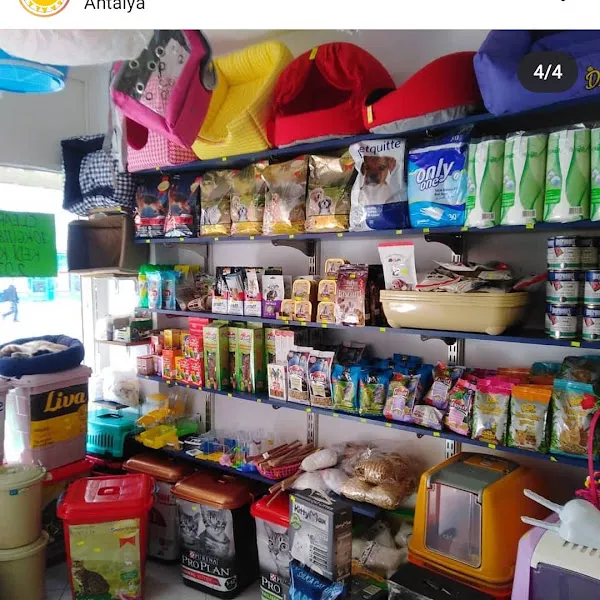 Pet kit petshop foto 2