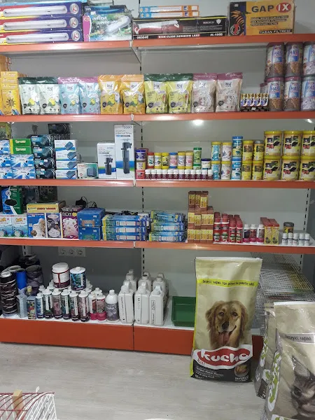Mercan Akvaryum foto 2