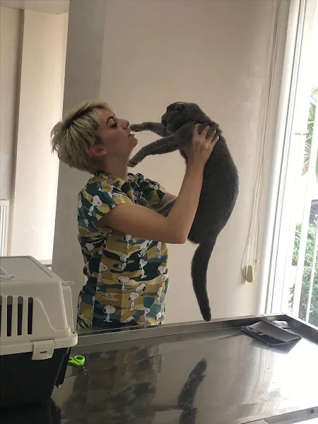 Asude Veteriner Kliniği foto 1