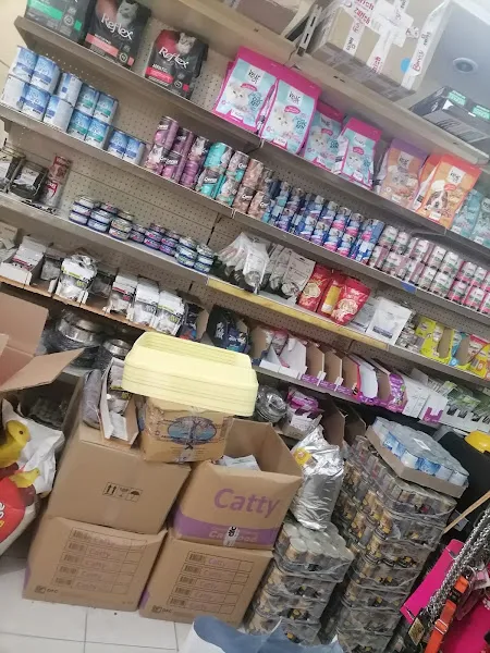 Botanik Petshop foto 2