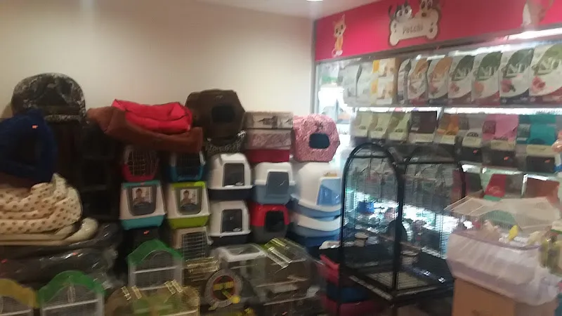 Petchi foto 2