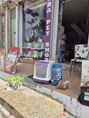 Hera petshop fotoğrafı