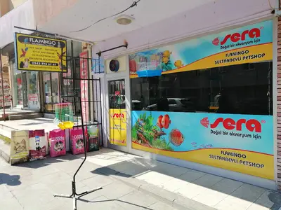 sebahatin palut fotoğrafı