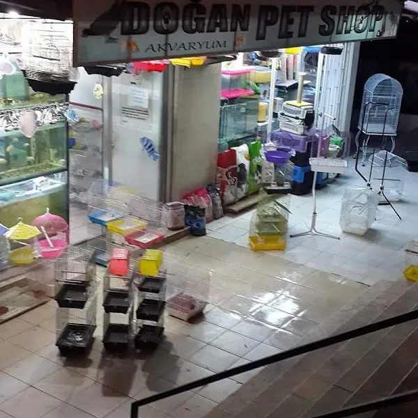 Doğa Petshop foto 2