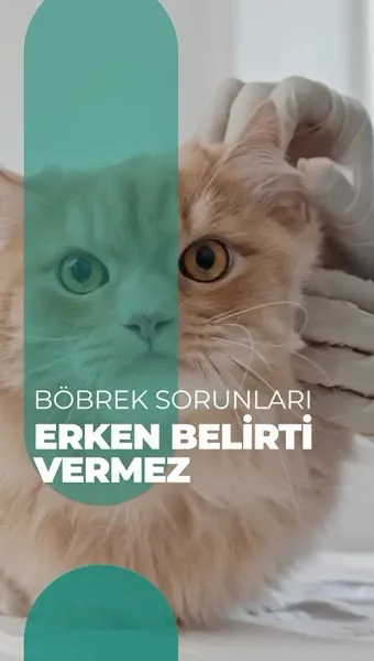 ARGUS PET AKVARYUM BALIK VE KEDİ KÖPEK MAMA ÇEŞİTLERİ foto 2