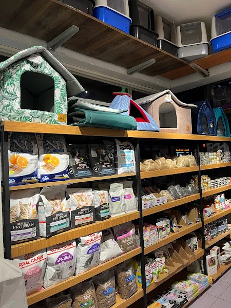 Kürşad Petshop – Kepez Paket Servis foto 2