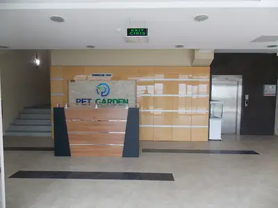 AHMPET FOOD
