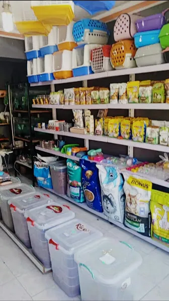 Kürşad Petshop – Sütçüler Paket Servis foto 1