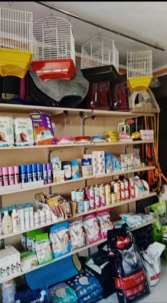 Kürşad Petshop – Sütçüler Paket Servis foto 2