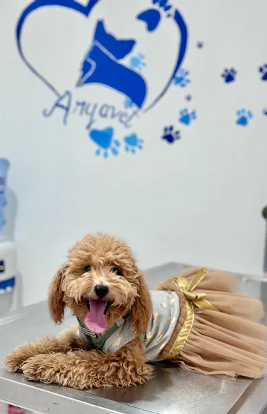 ARYAVET VETERİNER KLİNİĞİ foto 2