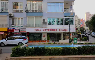 Falez Veteriner Kliniği