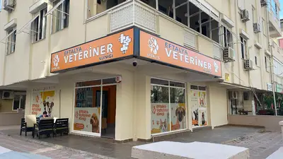 Eftalya Veteriner Kliniği fotoğrafı
