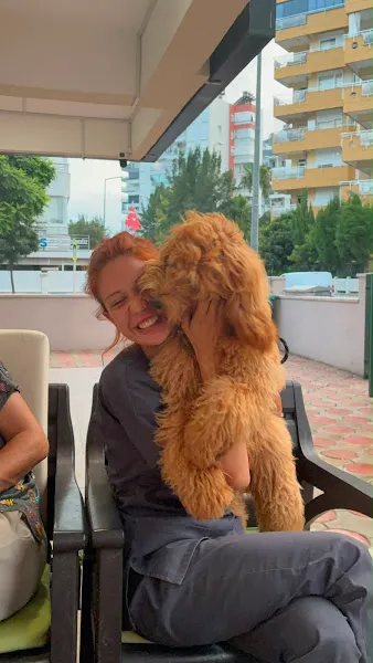 Eftalya Veteriner Kliniği foto 2