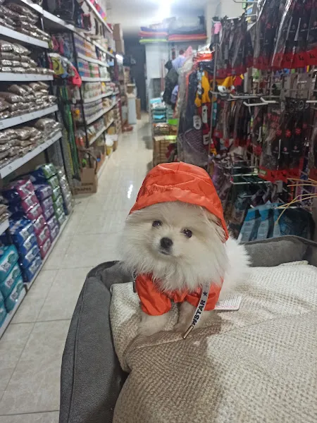 Davutlar petshop ocean foto 2