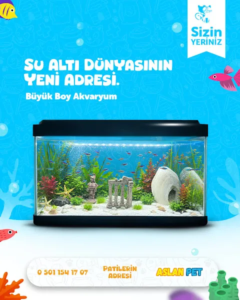 Aslan Petshop foto 2