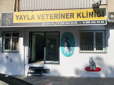 Yayla Veteriner Kliniği