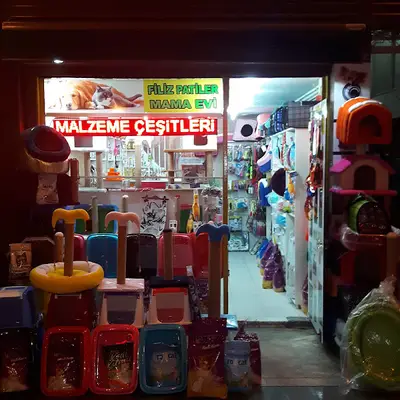Filiz Patiler Mama Evi fotoğrafı