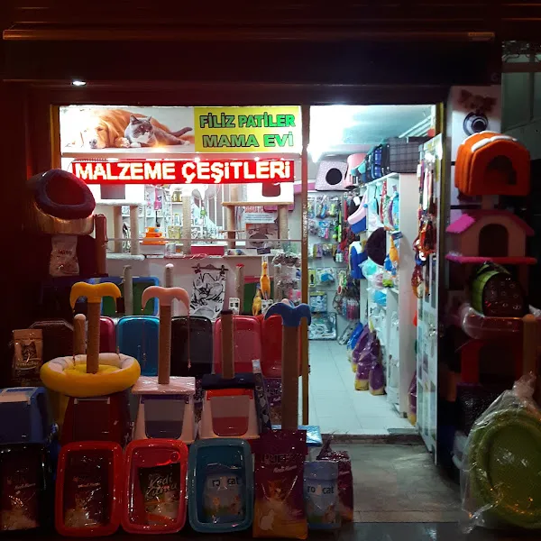 Filiz Patiler Mama Evi foto 1