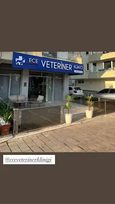 ECE VETERİNER KLİNİĞİ fotoğrafı