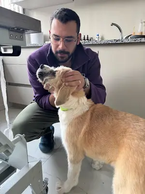 Vet Bella Veteriner Kliniği