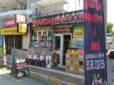 KARDAŞ PETSHOP &YEM