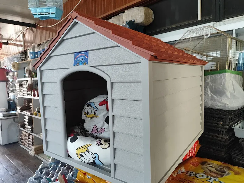KARDAŞ PETSHOP &YEM foto 2