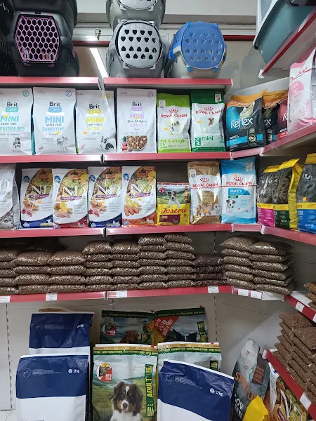 PETSHOP PET CENTER 2 BAHÇELİEVLER ŞUBESİ foto 2