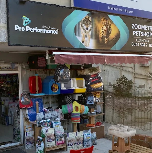 Zoometri petshop Kızıltoprak foto 2