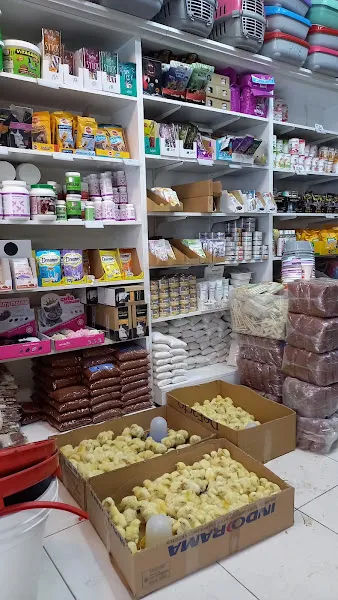 SAVAŞ YEM foto 2