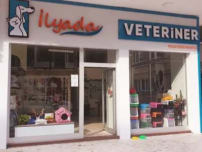 İLYADA VETERİNER Muayenehanesi