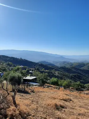 Terzioğlu hayvan çiftliği