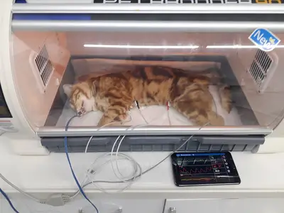 Mars Veteriner Kliniği