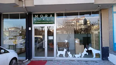 Mora Veteriner Kliniği