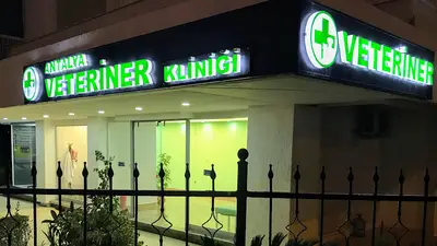 PETVET veteriner kliniği