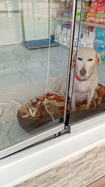 Liman Veteriner Kliniği foto 2