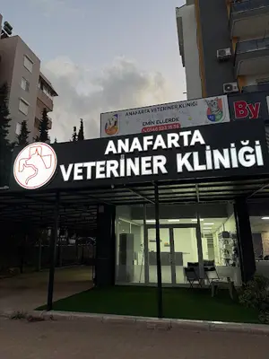 Anafarta veteriner kliniği - mazıdağı veteriner fotoğrafı