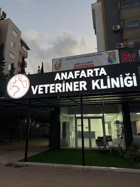 Anafarta veteriner kliniği - mazıdağı veteriner foto 1