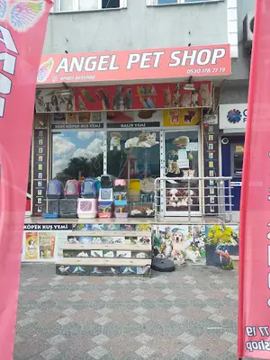 Angel petshop fotoğrafı