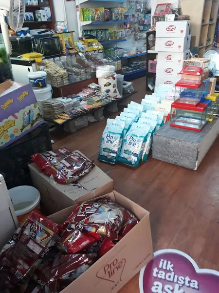 Tek Petshop foto 1
