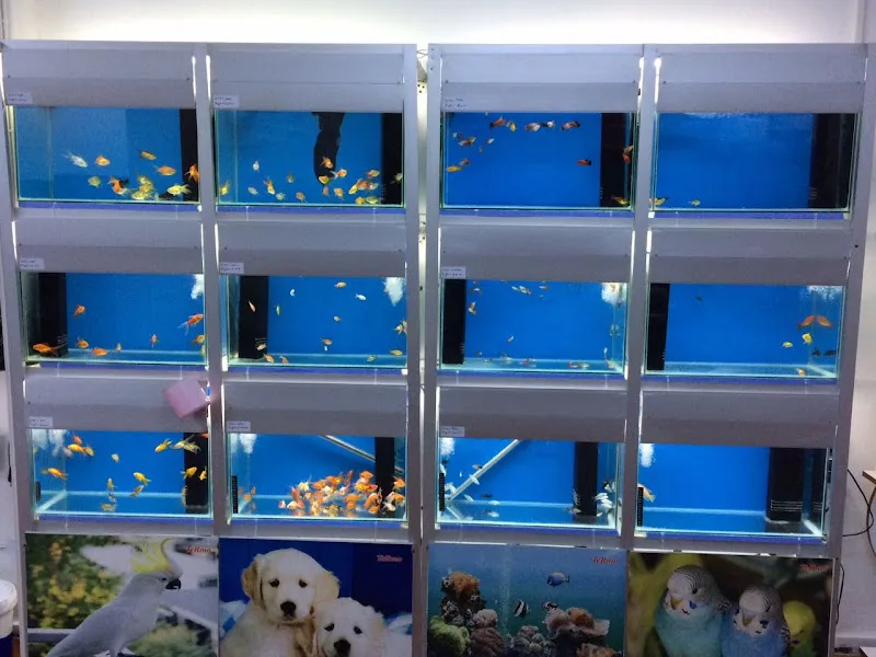 Tek Petshop foto 2
