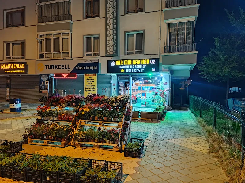 Mır Mır Hav Hav Petshop foto 2