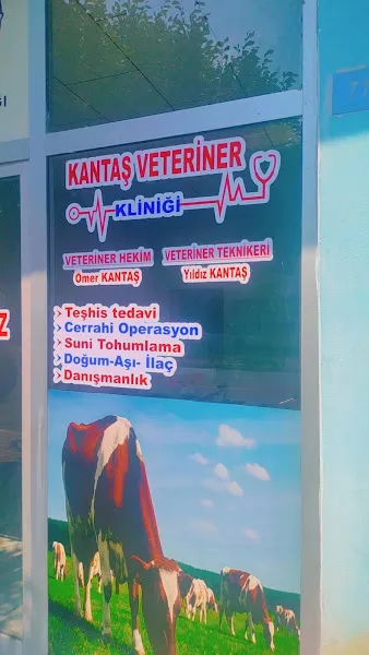 KANTAŞ VETERİNER KLİNİĞİ foto 1