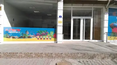 Sams Field Turkiye