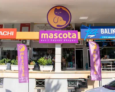 Mascota Evcil Hayvan Dünyası