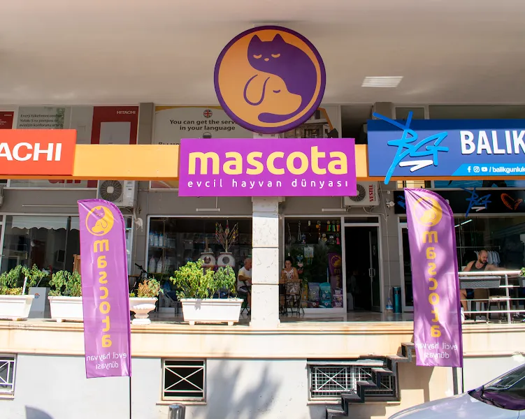 Mascota Evcil Hayvan Dünyası foto 1