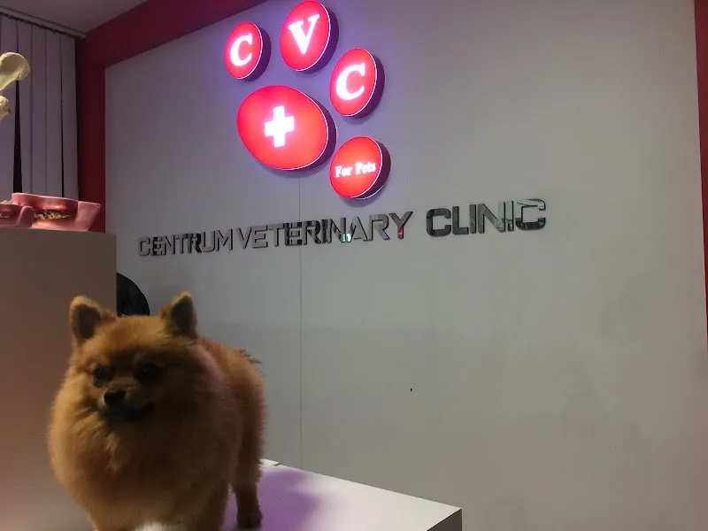 Centrum Veteriner Kliniği foto 2