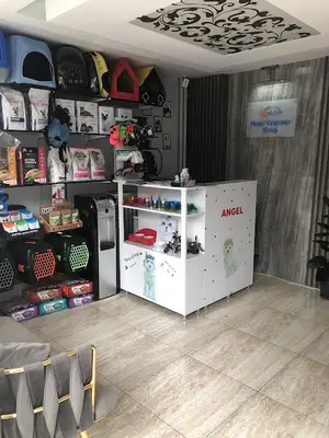 Angel Veteriner Kliniği